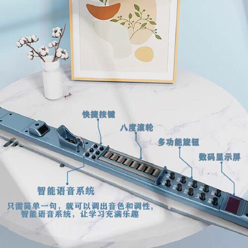 新手电吹管国产乐器大全演奏萨克斯葫芦丝唢呐中老年入门易学