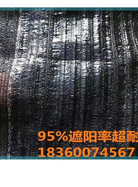 绿色平针遮阳网防晒网加密遮荫游泳池幼儿园高端隔热彩色多肉阳台