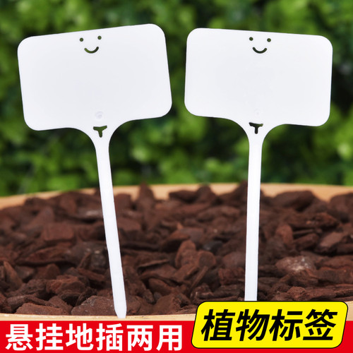 速发园艺标签多肉花盆插卉牌塑料地栽花盆植物苗木名字标牌防水小