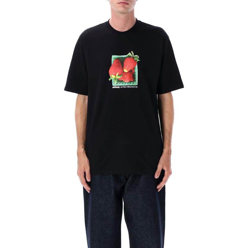 Stüssy 男士 FW25 T恤 短袖T恤