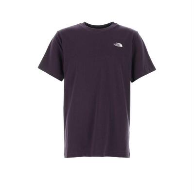 The North Face 北面 男士 SS26 T恤 Evolution Simple Dome