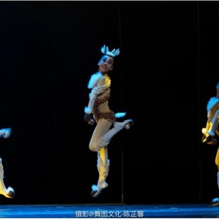 新款元旦儿童藏羚羊演出服森林精羚舞蹈服儿童斑羚飞渡舞蹈表演服