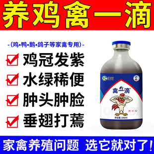 雄牧禽一滴正品养鸡瘟病全治专用家禽鸡鸭鹅鸡冠发紫水拉绿稀便药