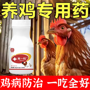禽一粒片正品养鸡病防治专用家禽小鸡鸭鹅感拉咳冒嗽稀特效救命药