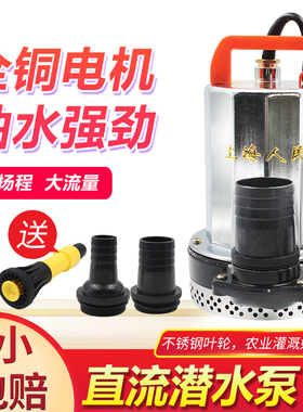 农用水泵潜水泵抽水泵36V机12V24V48V72V电动车电瓶Z车直流泵伏