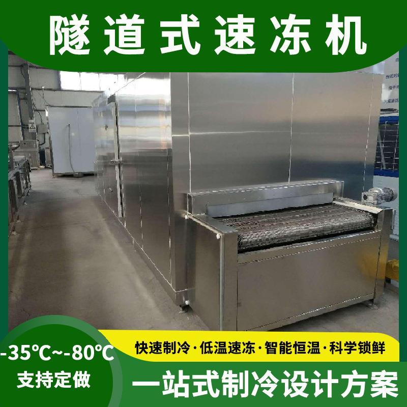 东莞隧道式速冻机包子水饺汤圆食品速冻低温冷藏保鲜速冻设备