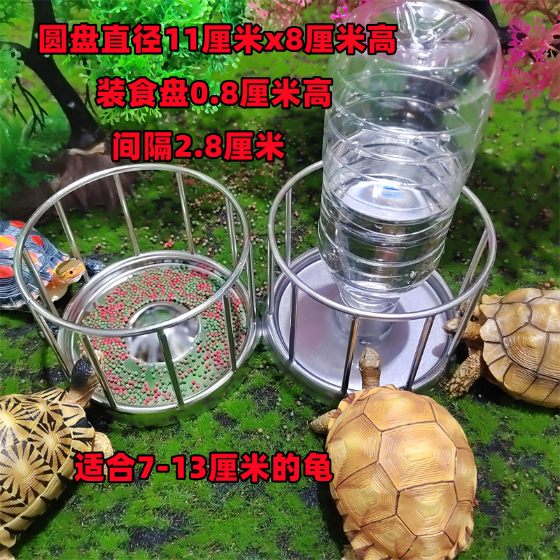 乌龟喂食器龟苗喂食台陆龟食盆半水龟陆龟黄缘喝水盆鸡鸭鸟鸽食盘