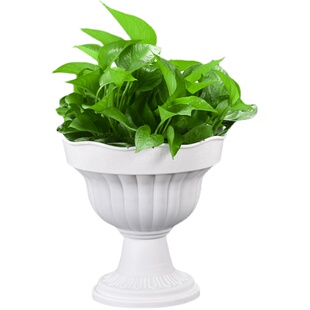 塑料花盆水莲盆小花盆家庭种菜庭院养花多肉绿萝阳台水培花盆