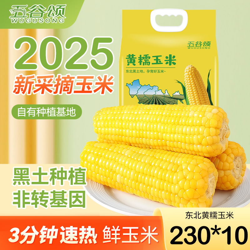 2025 年新采东北黄糯玉米棒 新鲜软糯香甜黏轻食真空速食粗粮代餐