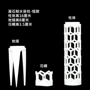 溪石大孔道可拼接加高水苔柱热带植物白锦龟背R竹巨洞花烛攀爬柱