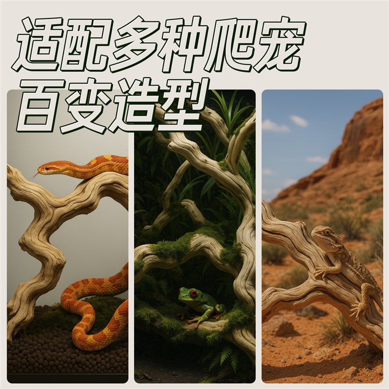 霸王藤木爬宠缸造景树木蛇睫角守B宫树枝树蛙鬃狮饲养箱攀爬木藤