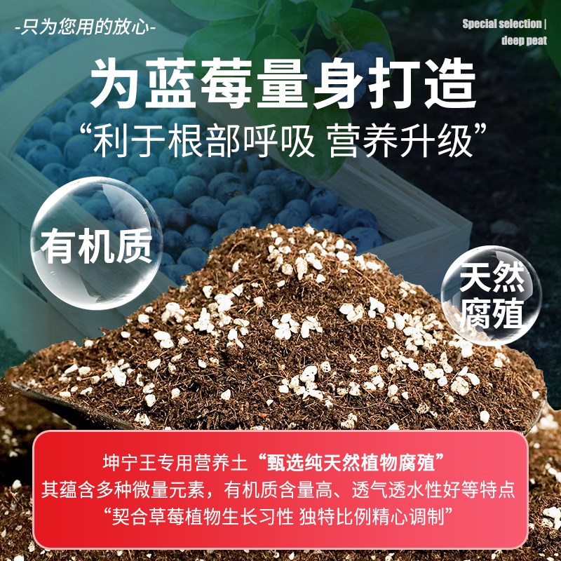 种蓝莓专用土盆栽专用土壤蓝莓树营养土果树土壤种植土有机土肥料
