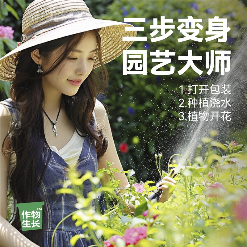 作物生长种植套装小雏菊玛格丽特喇叭花小番茄花卉种植盆栽diy