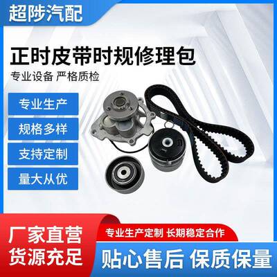 汽车发动机配件雪佛兰欧宝配套TCKWP338K015603XS热销