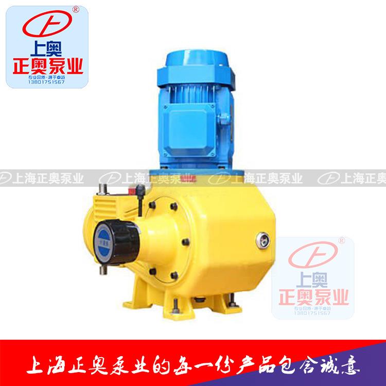 DZ-ZR型柱塞式计量泵