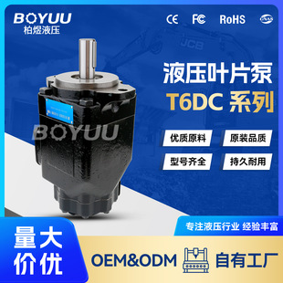 T6DC-038-022-1R03-B1叶片泵 用于船舶设备 石油设备 质量有保障