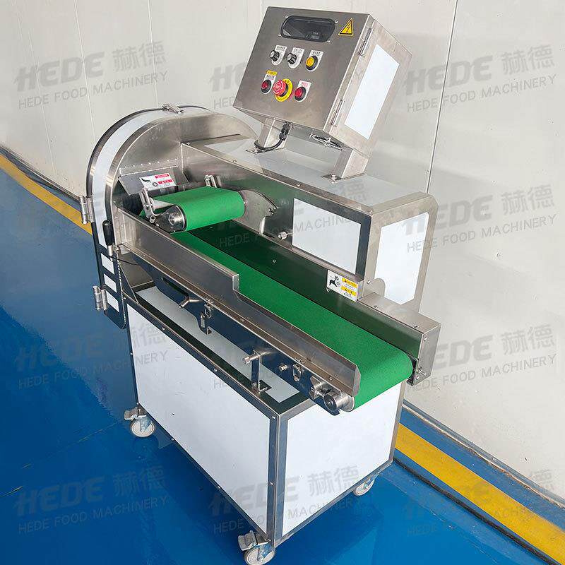 输送带黄梨切片机多功能果蔬切片切丝设备不锈钢笋切片笋片机