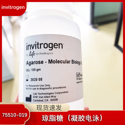 Invitrogen 琼脂糖 Agarose 100g 质检电泳实验专用 货号75510019