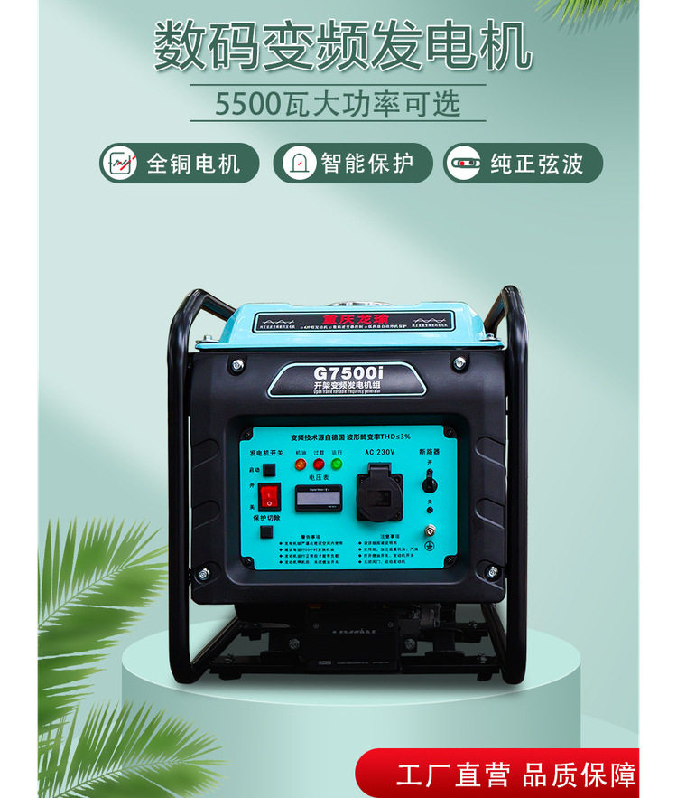 龙瑜220v数码变频汽油发电机单相小型迷你家用商用便携式