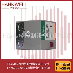 UV检测连接 F4750I220 F4750U220 离子探针 R4750B 燃烧控制器