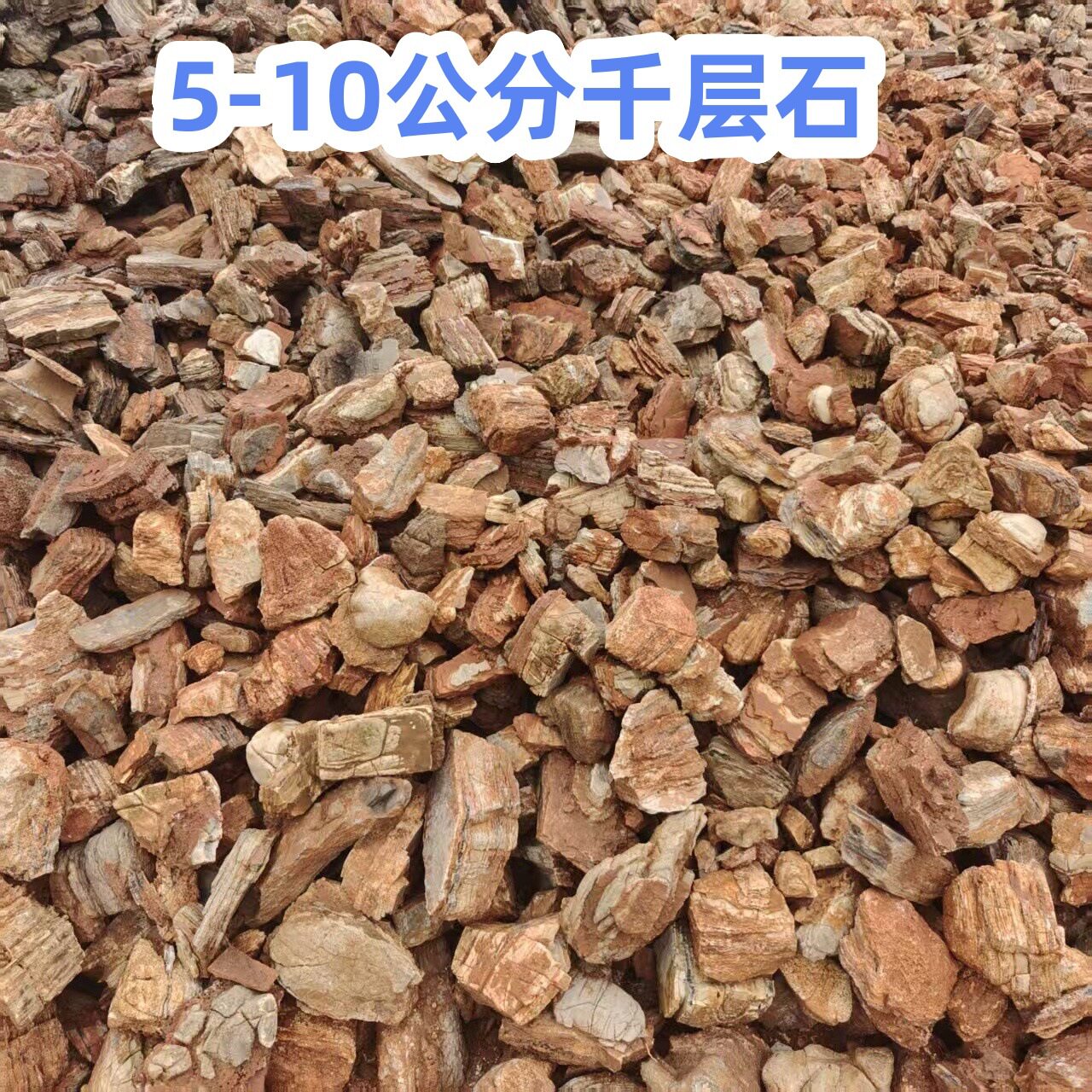 千层石红色千层石手搬块鱼缸造景千层石假山千层石小型微景千层石