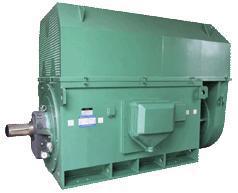 泰富西玛电机Y系列Y4505-6 400KW 10KV中型鼠笼高压电动机