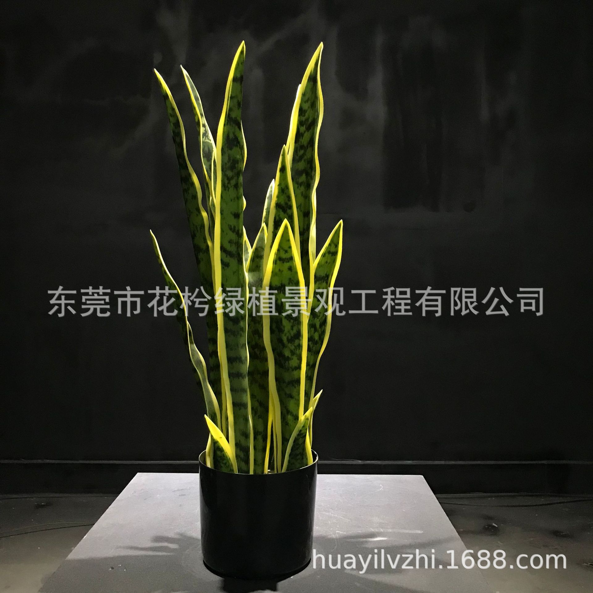 假虎皮兰组合厂家批发仿真虎皮兰外母舌叶子黄边绿边叶子配件工厂