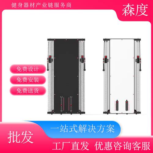 正星H2壁挂式综合力量训练器家商用靠墙固定小飞鸟多功能健身器材