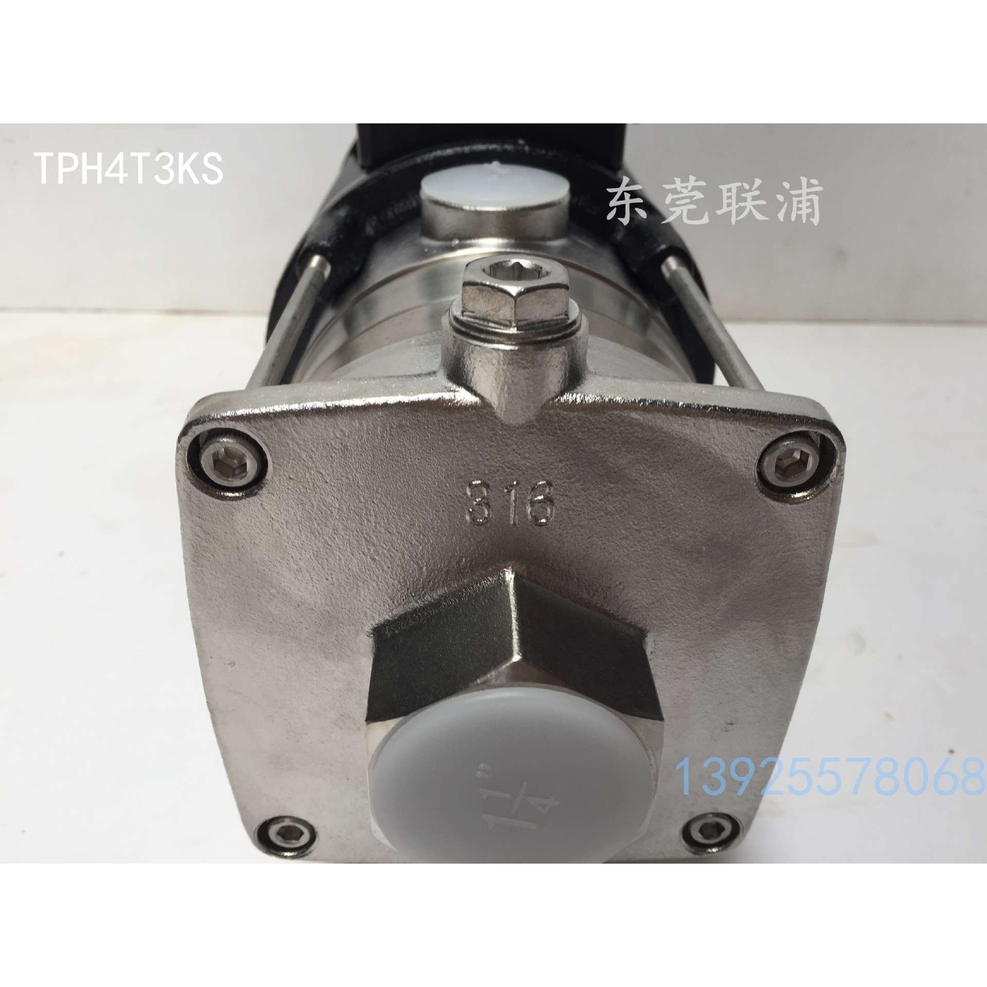 进口水泵 华乐士WALRUS  TPH4T3KS