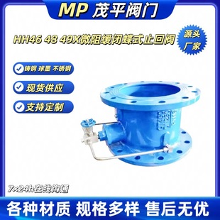 止回阀法兰连接 微阻缓闭蝶式 HH48X 16Q