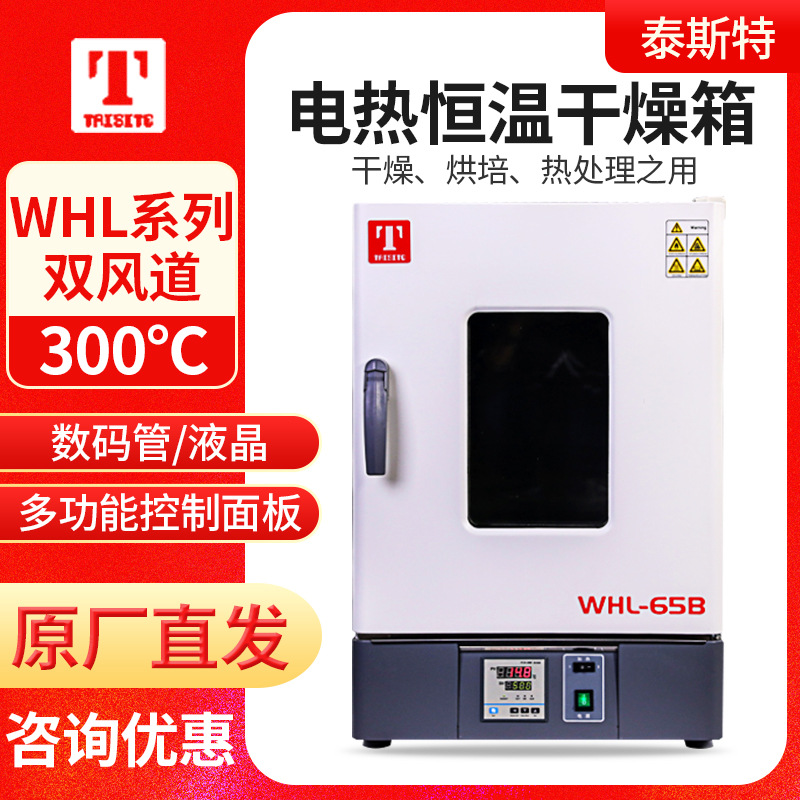 天津泰斯特WHL-30B/45B/65B/125B系列电热恒温干燥箱立式