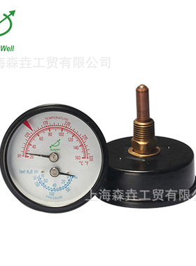 60表面温度压力一体表反应温度把控的好轴向黑铁壳铜连接WHT-12S