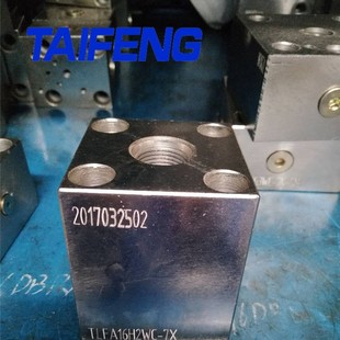 H2WC 型盖板厂家直销 032 泰丰供应TLFA