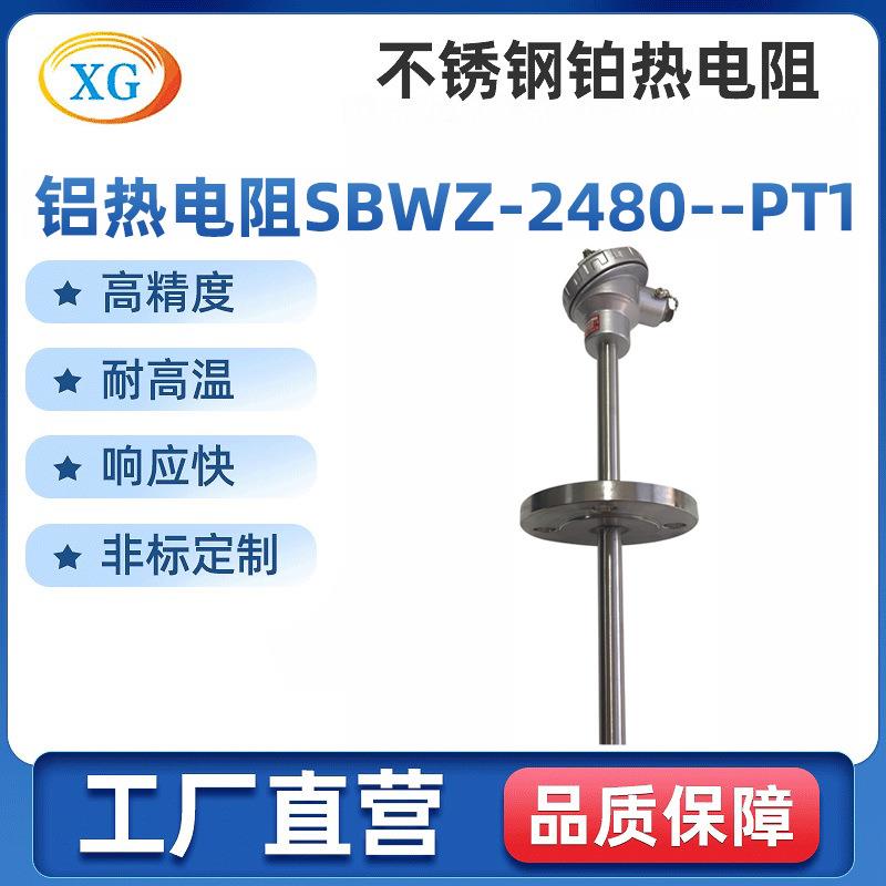一体化温度变送器热电阻防爆温度传感器温度变送器SBWZ-2480/PT1