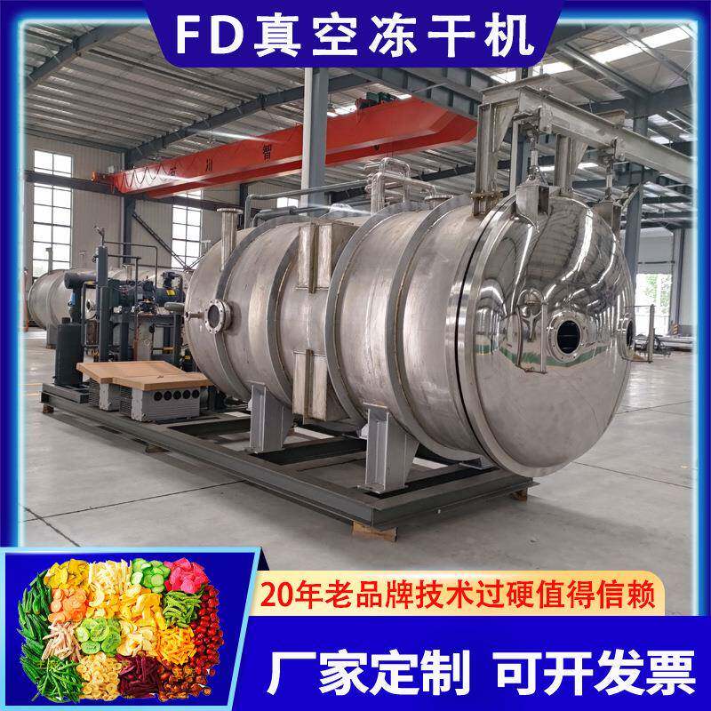 宠物零食蛋黄冻干机 冻干南极磷虾猫零食小鱼干设备 FD真空冻干机