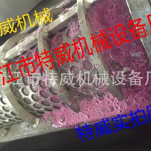 鲜梨压榨机 生姜水果榨汁机 2.5菠萝榨汁机