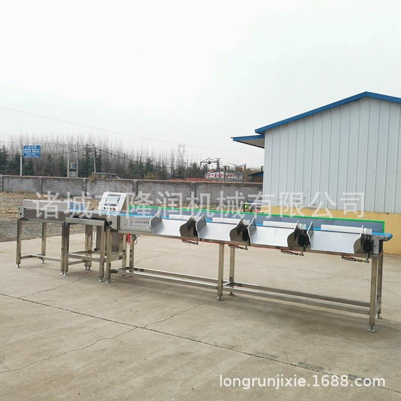 白条鸡鸭大小分级机 活鱼带鱼鲅鱼重量分选机 皮带检重秤