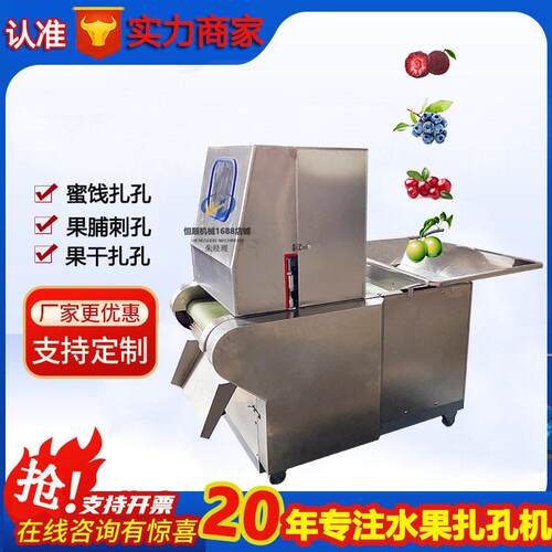 蜜饯加工黄皮果扎孔机自动进料蓝莓刺梨腌制前刺孔机水果扎眼机