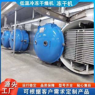 冻干酥脆银鱼设备 赤松茸冻干机10平方 真空冷冻干燥机低温脱水