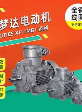 电机SIMOTICS XP 1MB1系列低压高效隔爆型电动机厂家直供