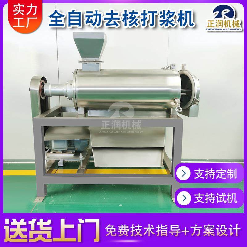 供应火龙果去籽榨汁机 草莓原浆榨汁生产线 500公斤木瓜榨汁机