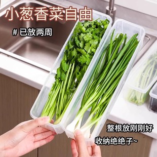 香菜小葱保鲜盒食品级葱姜蒜备菜收纳保鲜神器鸡蛋面条冰箱收纳盒