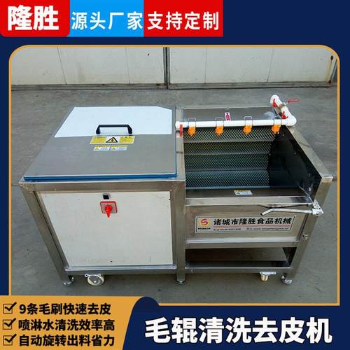 大姜山芋去皮机 根茎类毛刷清洗设备 全自动毛辊中药材去皮清洗机