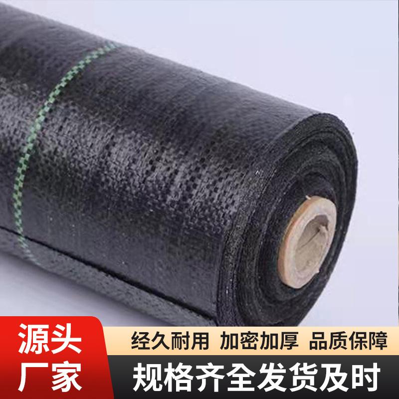 果林大棚遮草布园艺地布耐用透气保湿防草地布黑色农用果园盖草布