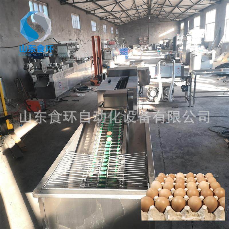 鸡鸭蛋清洗机 泥蛋脏蛋清洗机 鸡蛋清洗风干线 洗蛋机厂家,清洗/食品/商业设备,打蛋机/洗蛋机/磕蛋机,淘宝优惠券,粉丝福利购,淘宝优惠卷