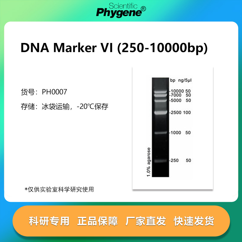 DNAMarker(250-10000bp)