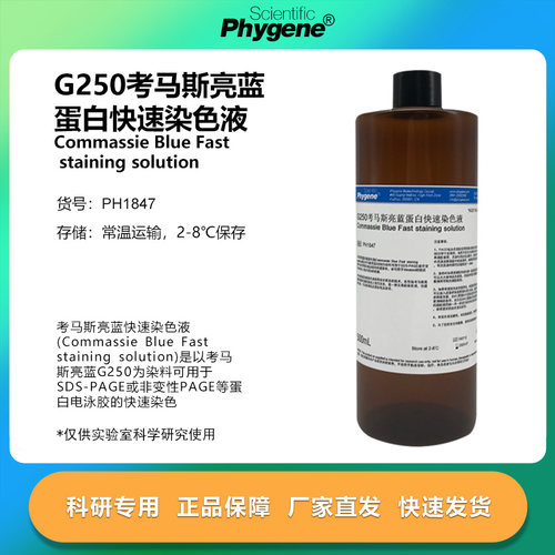 考马斯亮蓝快速染色液 G250染色液 100mL/500mL 电泳实验 可