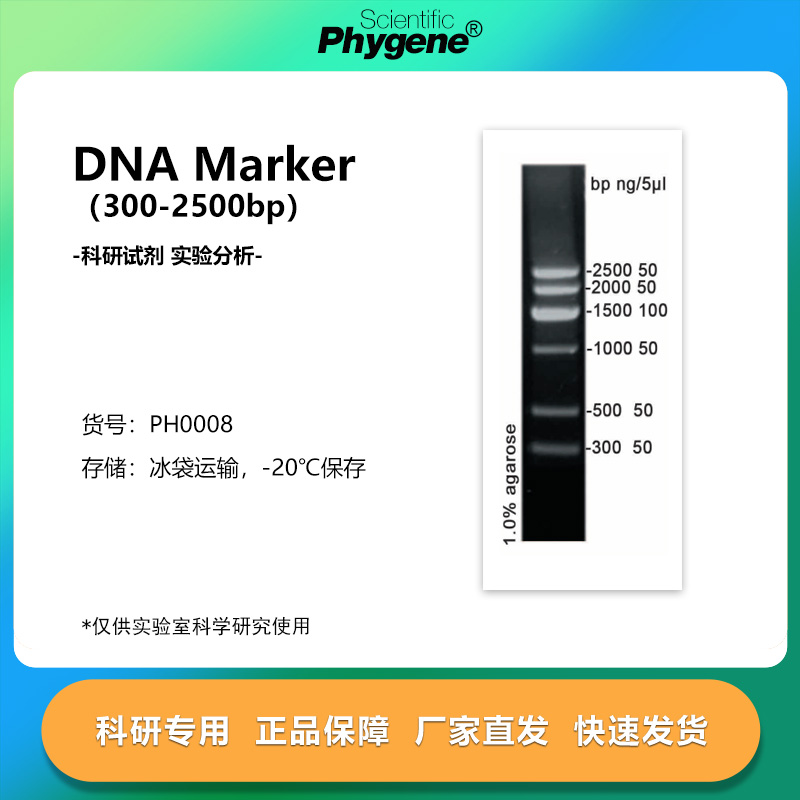 DNAMarker（300-2500bp）