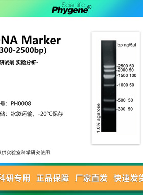 DNA Marker（300-2500bp）核酸电泳试剂 100T [PH0008 PHYGENE]
