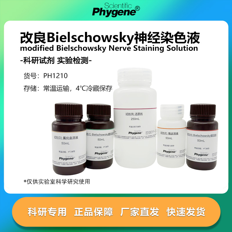 改良Bielschowsky神经染色液试剂盒 实验染色 [PH1210 PHYGENE]